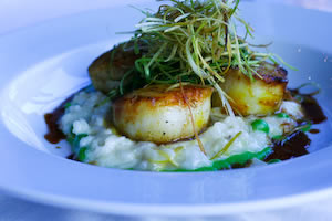 [scallops.jpg]