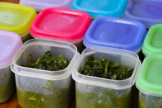 [20070704-freezingbasil.jpg]