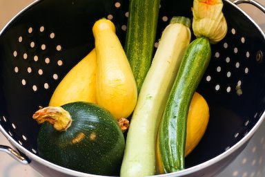 [squash-kalynskitchen.jpg]