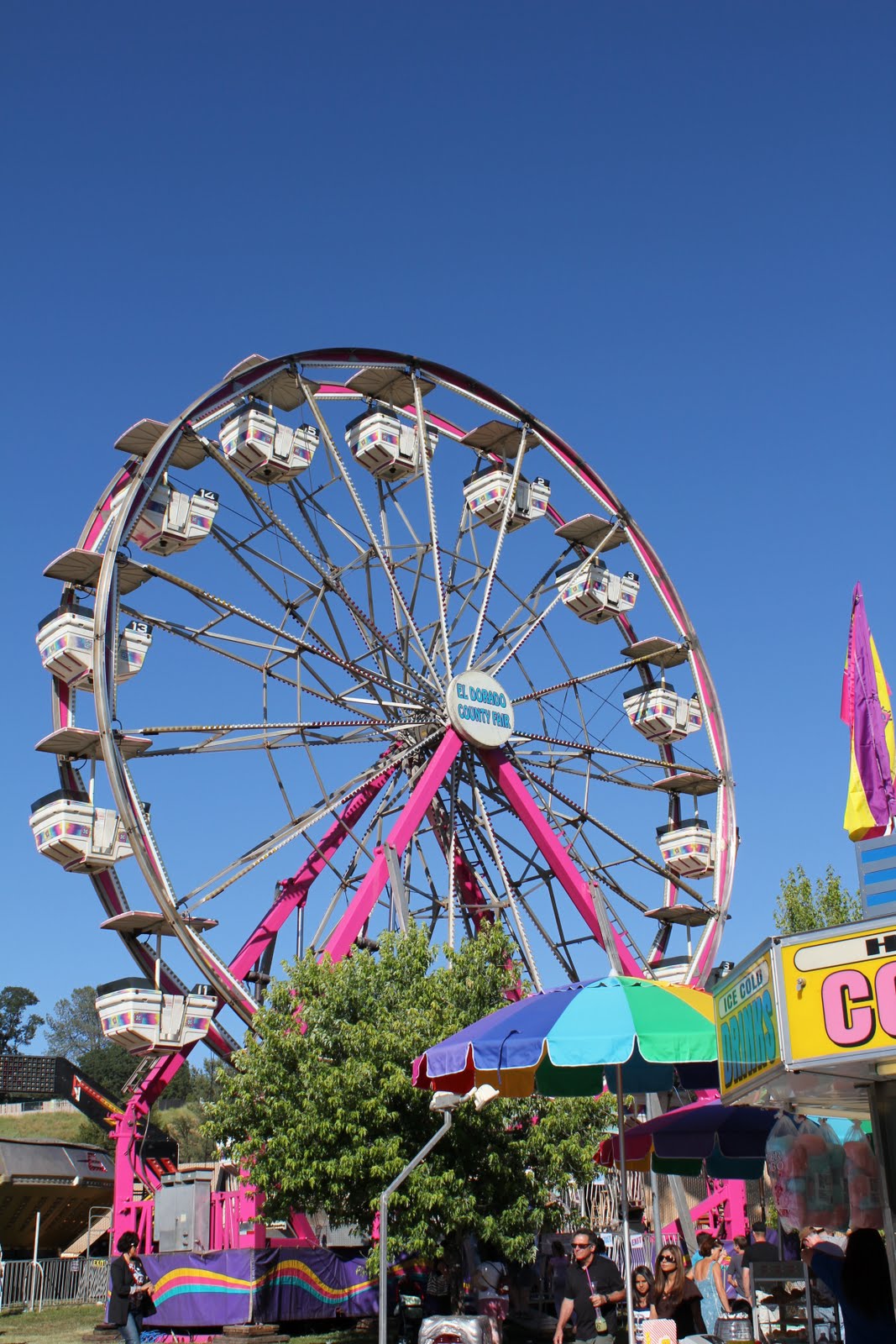 all's fair at the county fair