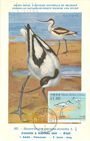 [n641473013_1078787_4667.jpg]