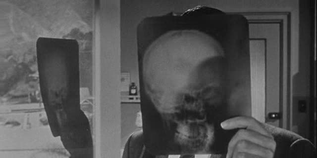 [Invasion+of+the+Body+Snatchers01.jpg]