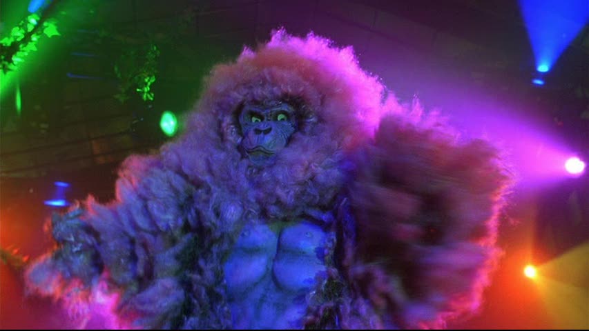 [batmanANDrobin.jpg]