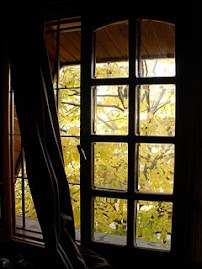 El otoño desde la ventana