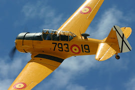 Volando