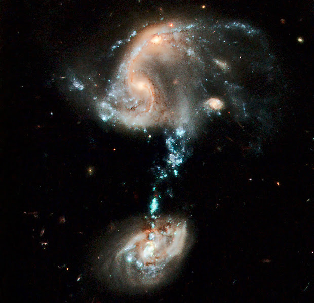 Arp 194, a cosmic fountain of stars brilliantly portrayed by Hubble