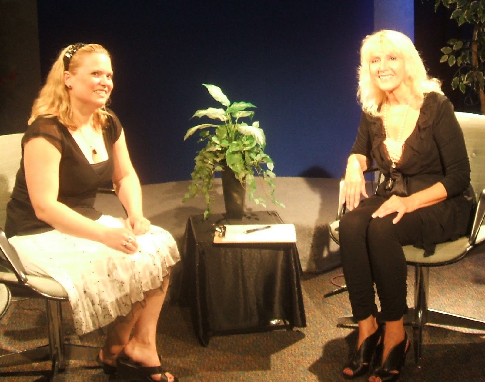 PARANORMAL CONNECTION TV Dowsing with Ann Bender!