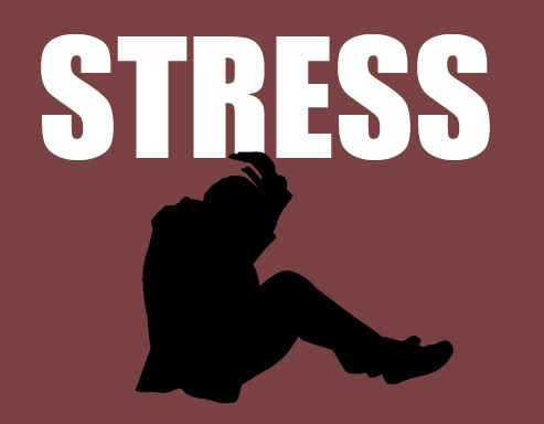 [Stress+11.jpg]