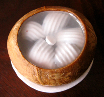 Pandan Pusat Bekalan Bakeri: Jeli Kelapa (Coconut Jelly)