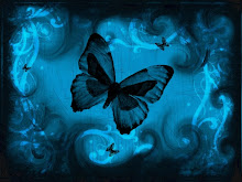 BBlue Butterfly