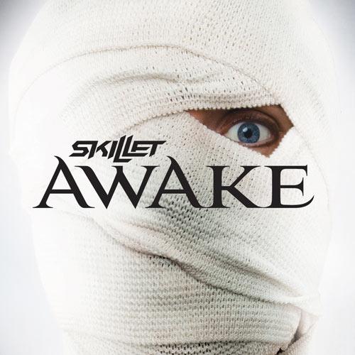 Skillet - awake 2009