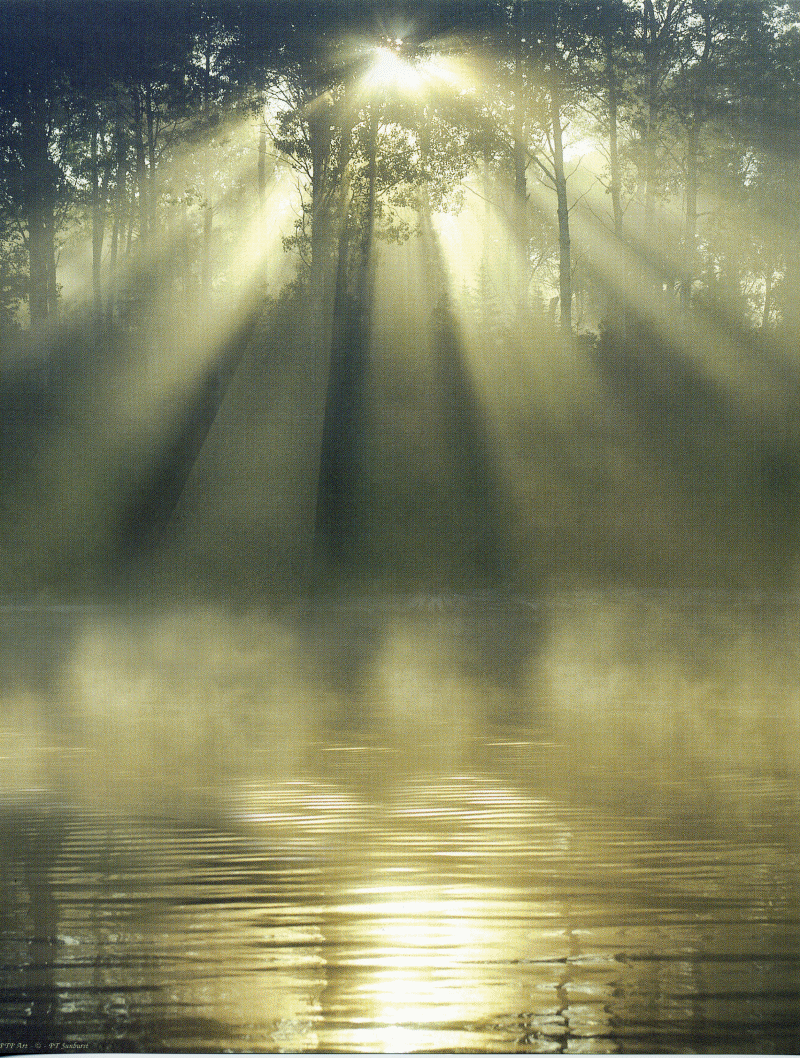 bucolicity: Mist Matters