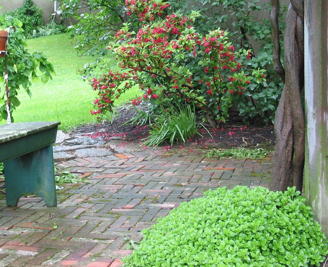 Niesz Vintage Home...and fabric Garden Bloomers Pond and Patio