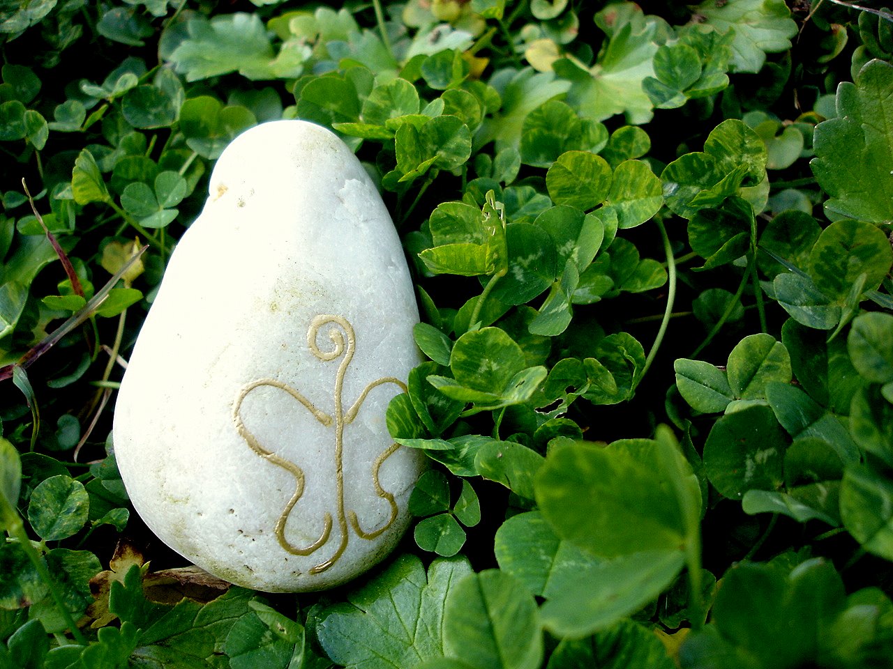 [Fev+2007+012-1.jpg]