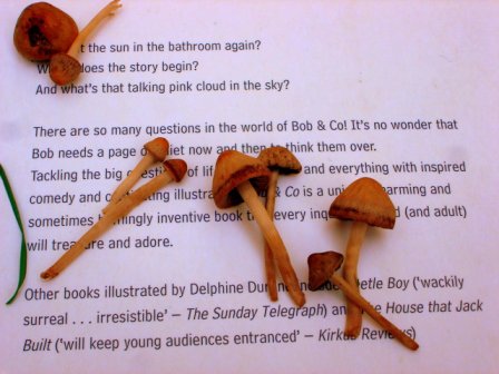 [julho+2+07+014-90.jpg]