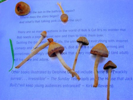 [julho+2+07+014-92.jpg]