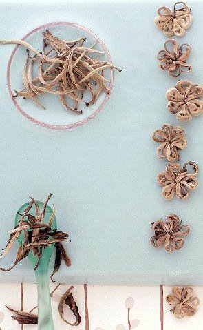 [white-tea-prod.jpg]