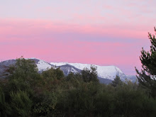 Atardecer a orillas del CºCatedral