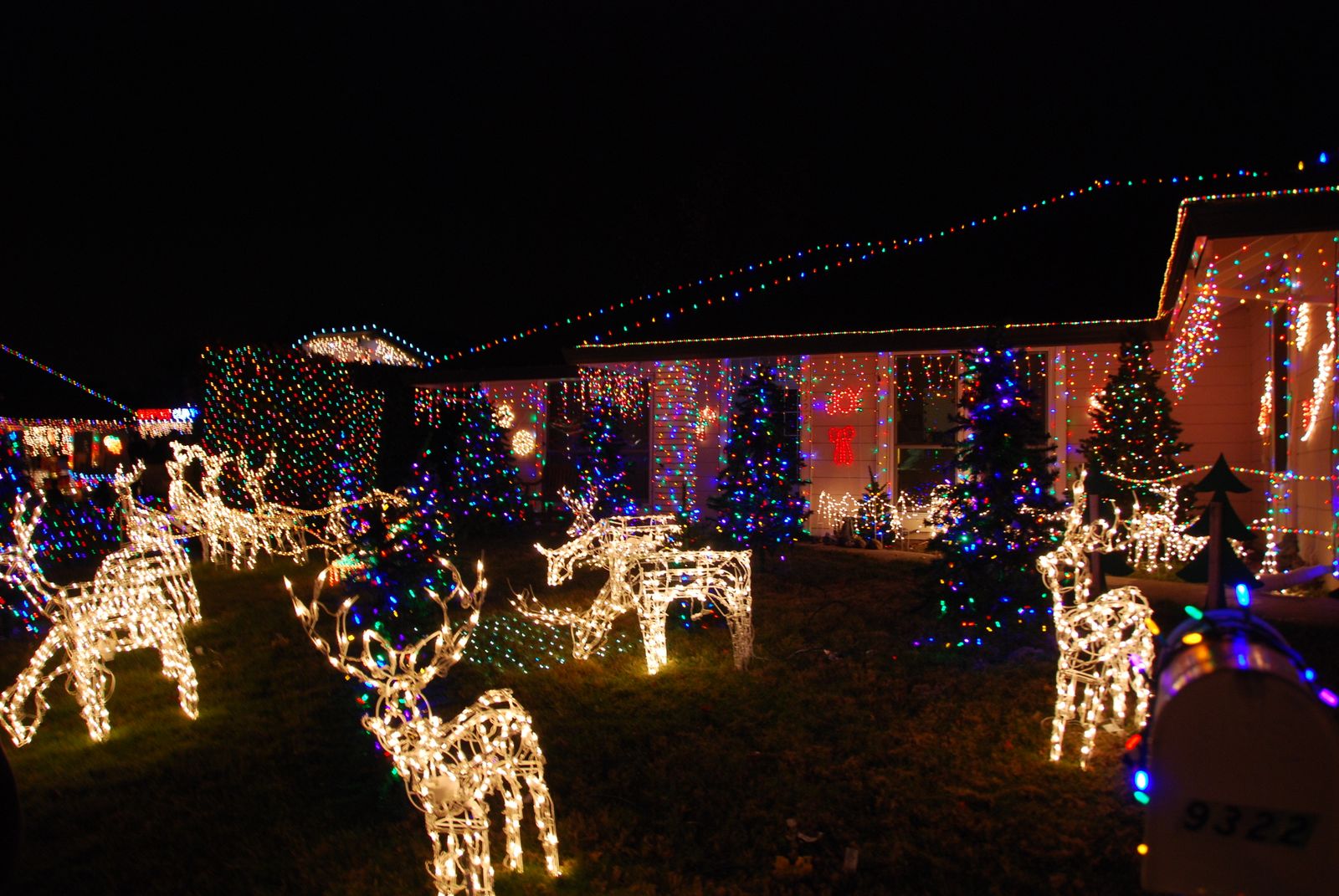 All Things Elise & Alina Holiday Lights of Dovewood Court, Orangevale
