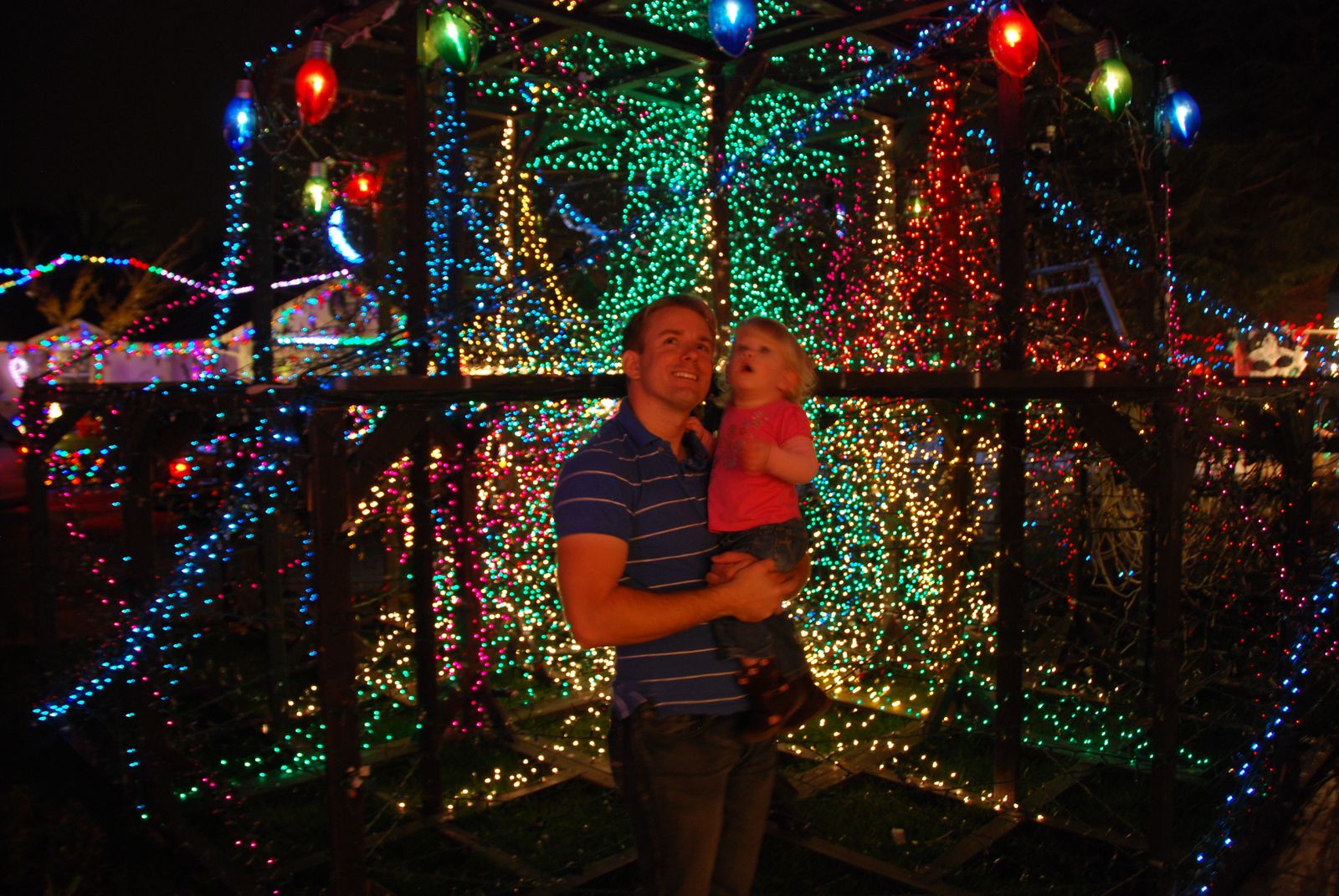 All Things Elise & Alina Holiday Lights of Dovewood Court, Orangevale