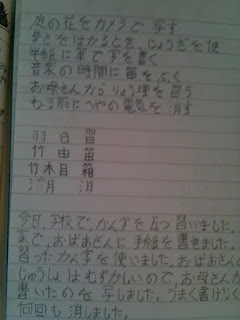 naraimasu: December 2009