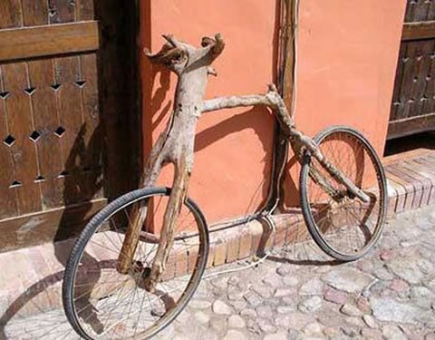 [tree-branch-bike.jpg]
