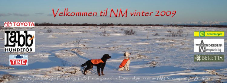 NM Vinter 09