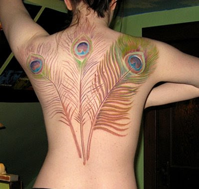 Peacock feather tattoo pics
