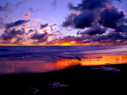 nature silhouette unique sky sunset hawaii clouds desktop wallpapers backgrounds beach purple ocean background