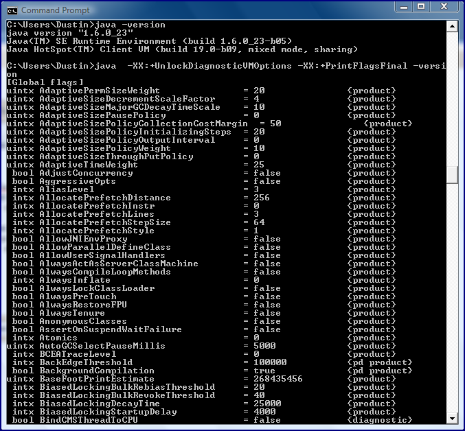 Inspired by Actual Events: HotSpot JVM Options Displayed: -XX ...