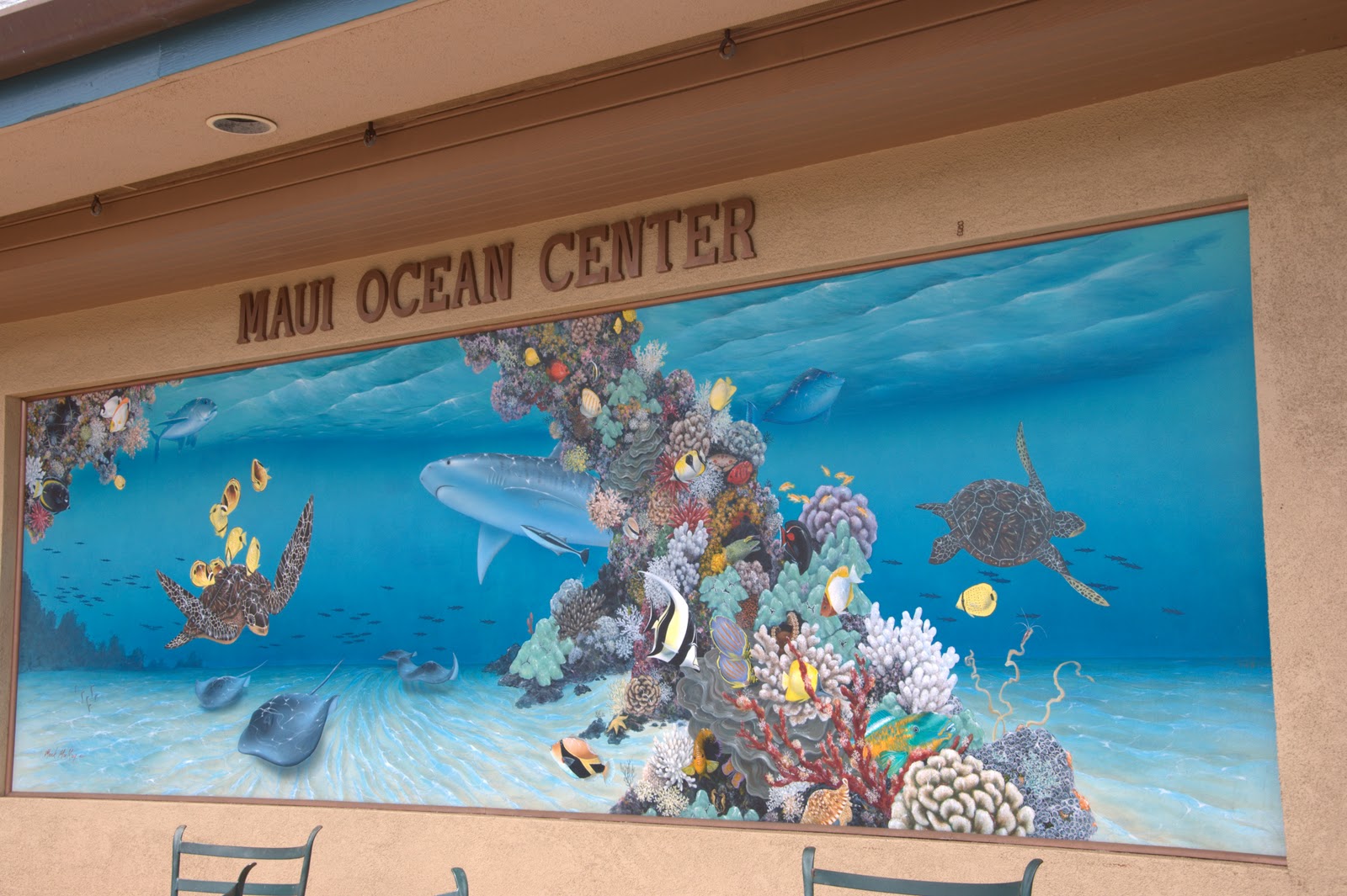 marine aquarium 3 game marine aquarium 3 game