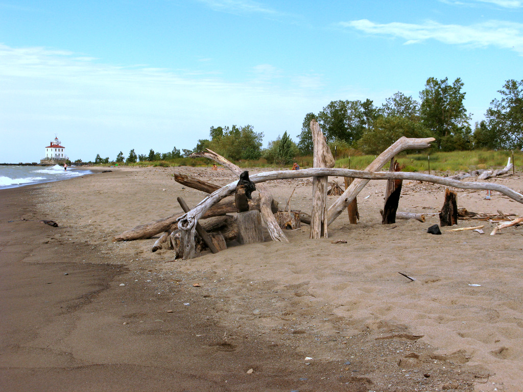 Seeing Anew Lake Erie Driftwood Revisited
