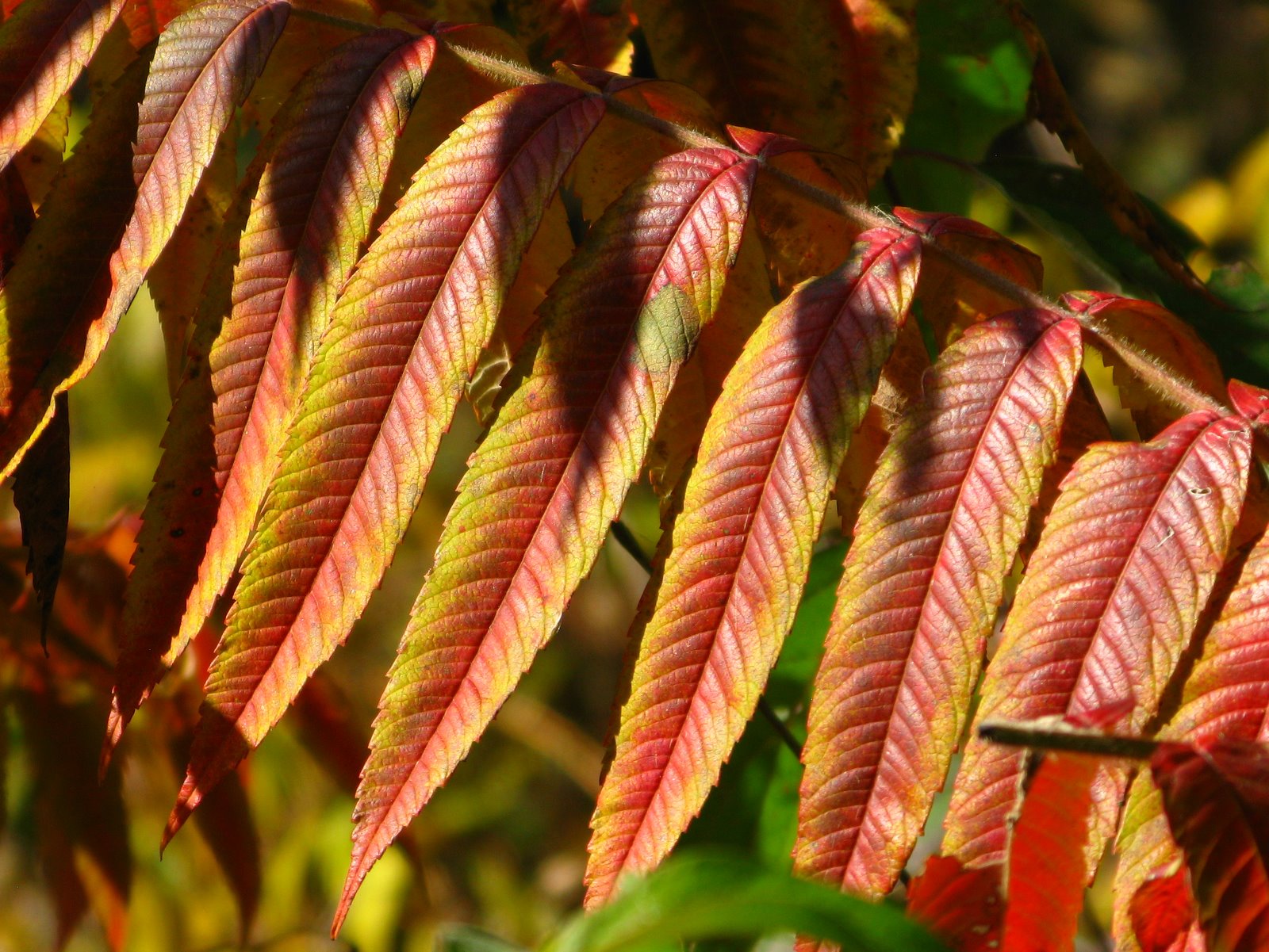 Seeing Anew: October 2010