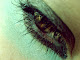 Mi foto