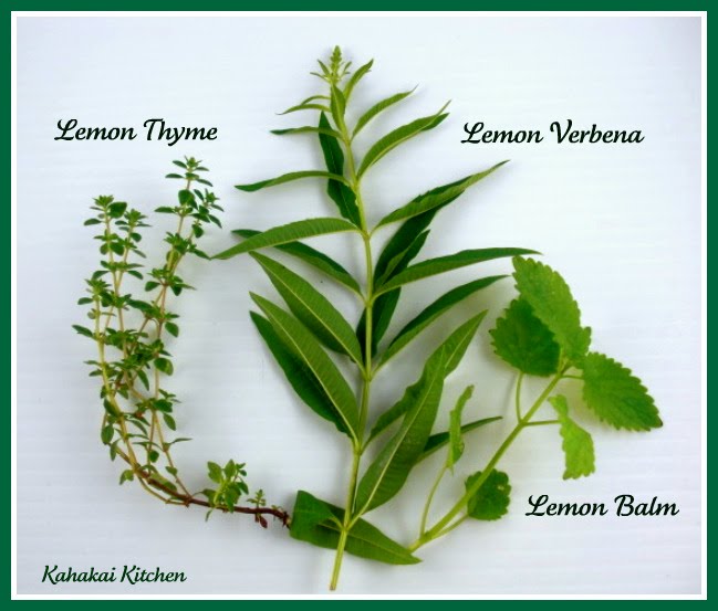 Kahakai Kitchen Lemon Herb Tisane with an Elderflower "Kick"A