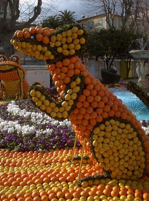 image019.jpg