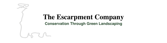 The Escarpment Company Landscaping Services