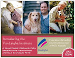 VanLeigha Foundation & Institute