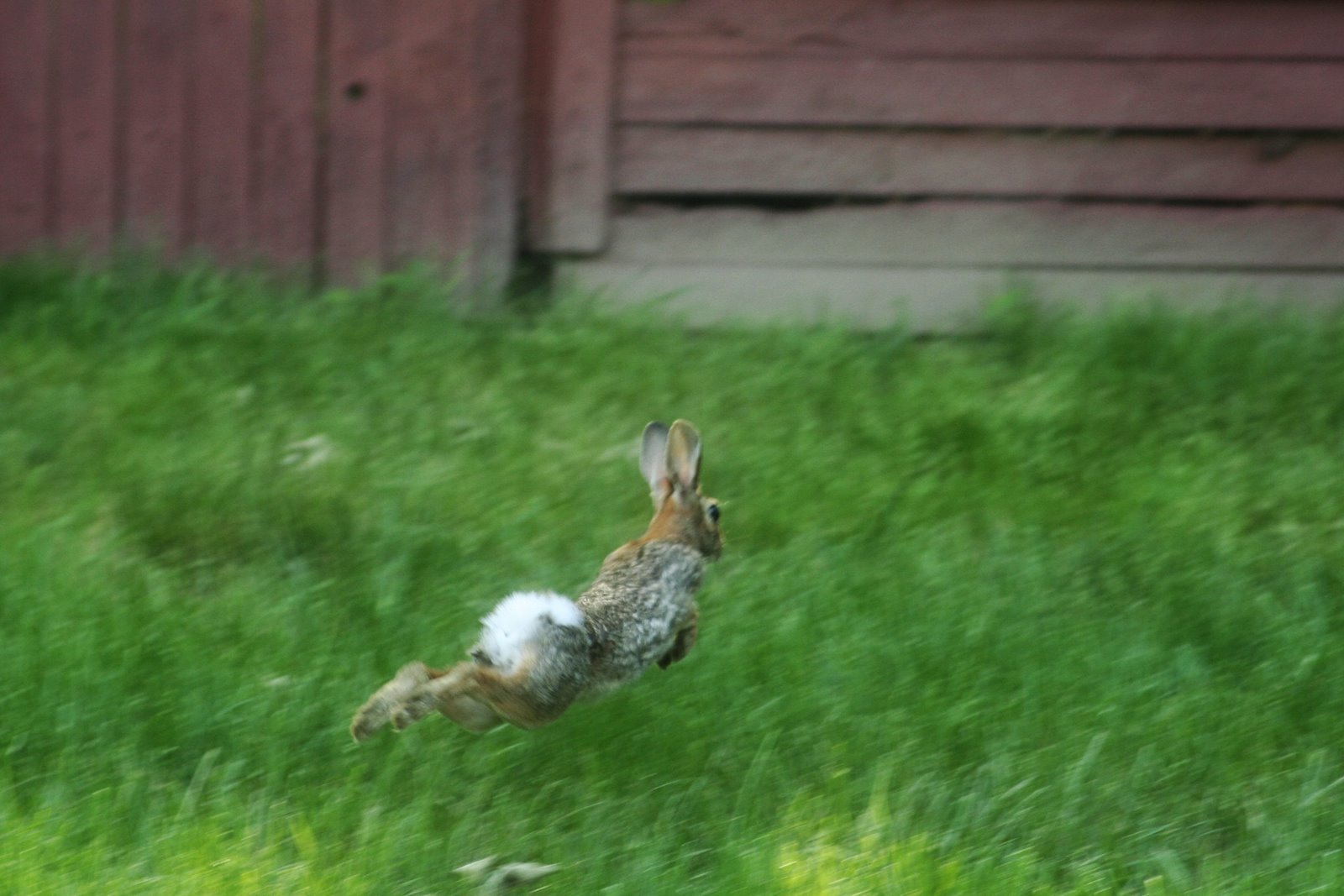 [May272008_0032copy.jpg]