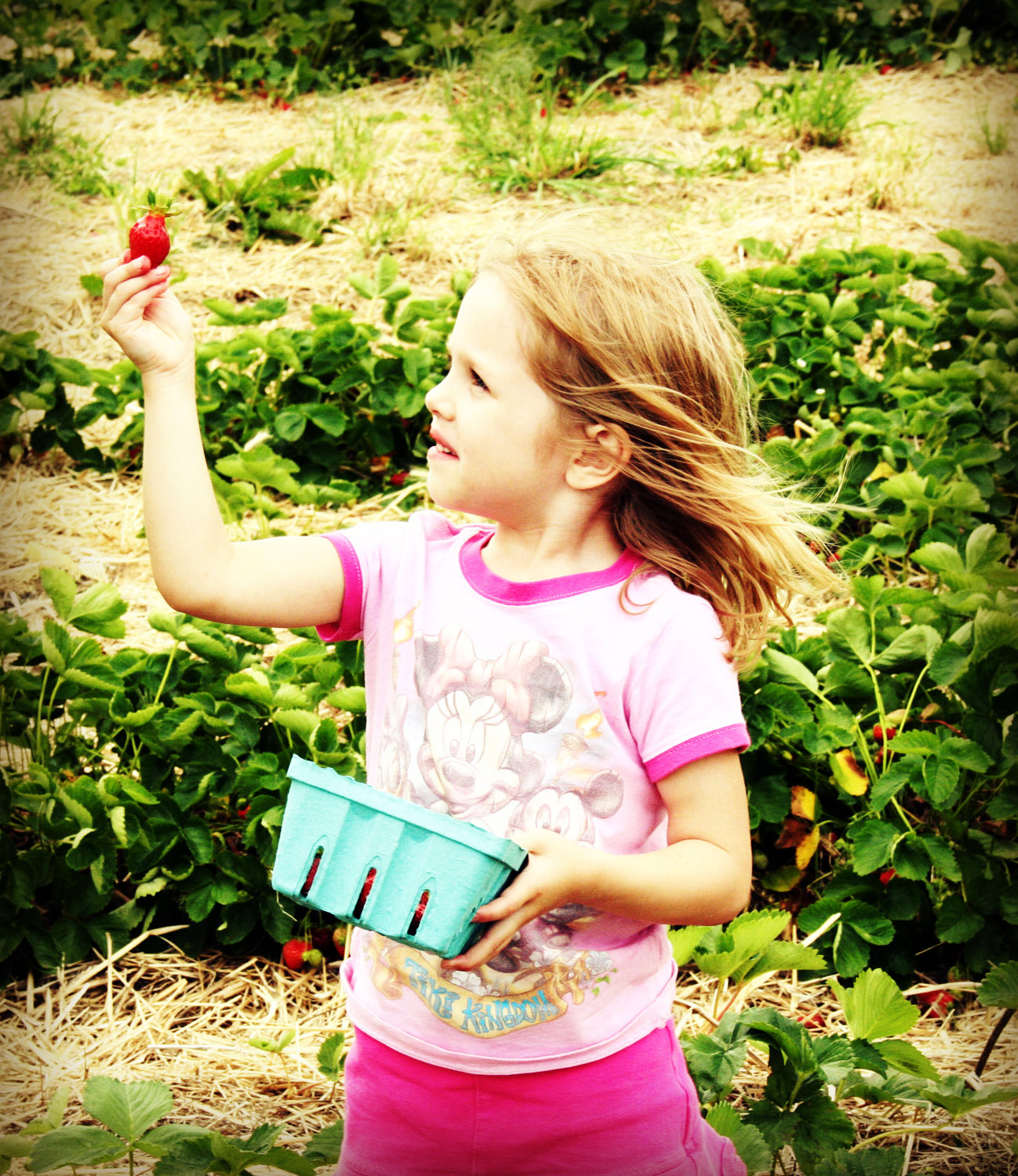 [copy9+strawberry+fields_1536.jpg]