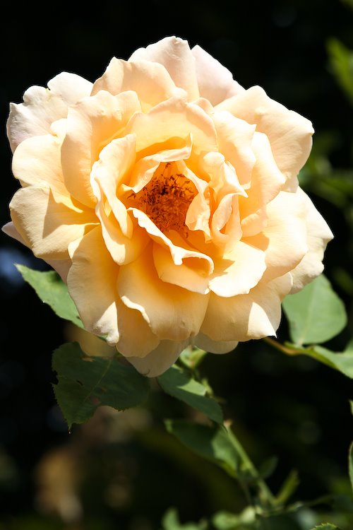 [08Sep17_Brookside_399.jpg]