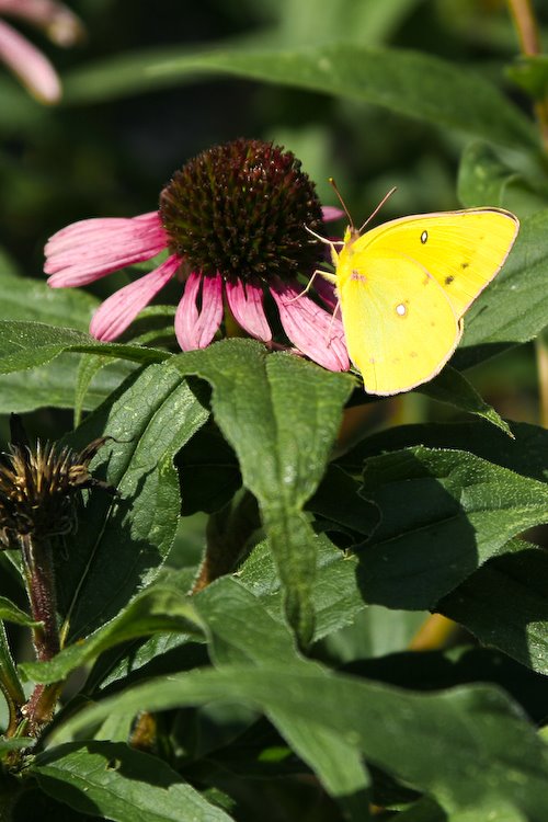 [08Sep17_Brookside_407.jpg]