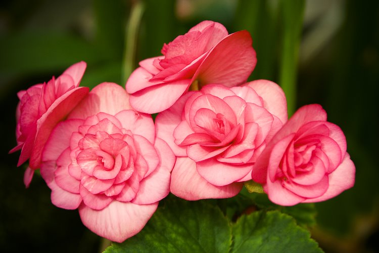 [08Sep17_Brookside_178.jpg]