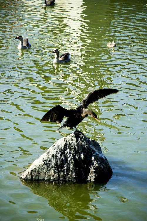 [08Oct07_Rio_11.jpg]