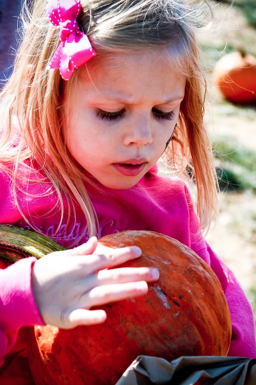 [08Oct17_mtnside_70.jpg]