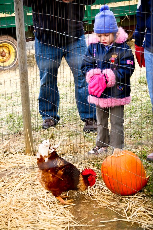 [08Oct29_Homestead_24.jpg]