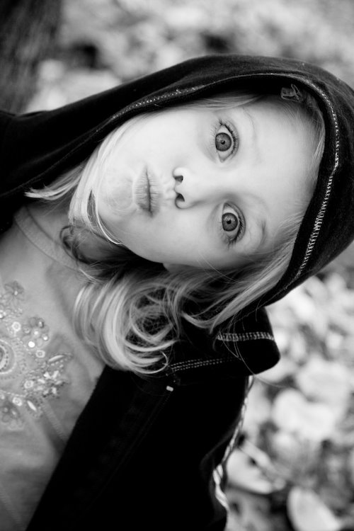 [08Nov11_leaves_71.jpg]