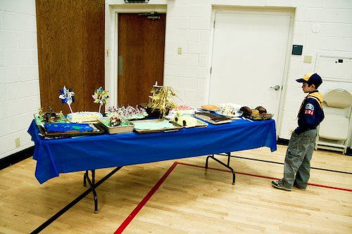 [09Feb20_bluengold_32.jpg]