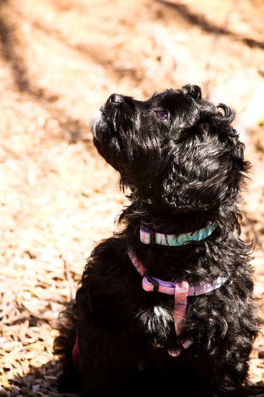 [09Mar31_park_25.jpg]