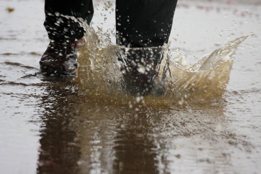 [09Apr11_cherryblossoms_83.jpg]